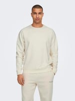 Only & Sons Onsmichi Life Reg Crew Neck Sweat Sweatshirt Erkek