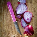 OPINEL INOX RENKLI SEBZE BICAK MAVİ