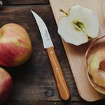 OPINEL INOX RENKLI SEBZE BICAK MAVİ