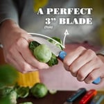 OPINEL INOX RENKLI SEBZE BICAK MAVİ