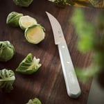 OPINEL INOX RENKLI SEBZE BICAK MAVİ