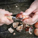 Opinel No 7 Sarımsak, Meyve Ve Kestane Bıçağı, Kahverengi