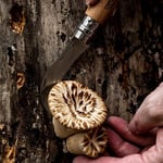 Opinel No 8 Kılıflı Paslanmaz Çelik Mantar Bıçağı