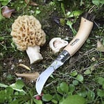 Opinel No 8 Kılıflı Paslanmaz Çelik Mantar Bıçağı