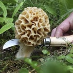 Opinel No 8 Kılıflı Paslanmaz Çelik Mantar Bıçağı