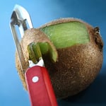Opinel soyma bıçağı Saegezahnung aşçı bıçağı
