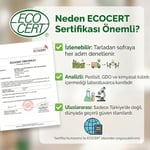 Organic Windy Valley Tahin/ECOCERT Sertifikalı (300gr) Cam Kavanoz-Veganlara Uygun-Glutensiz-Yerli Susam-Helal-