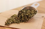 Organik Melisa 50 gr | Melissa officinalis | 100% Melisa Çayı | Haven Herbs & Blends
