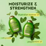 Organix Teatree Mint Şampuan 385ML