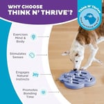 Outward Hound Nina Ottosson by Dog Hide N' Slide Purple Interactive Treat Puzzle Dog Toy - Seçenekler: Seviye 2 (Orta Seviye), Seviye 4 (Uzman), Ekstra parçalar...