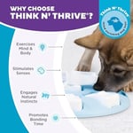 Outward Hound Nina Ottosson by Puppy Smart Blue Interactive Treat Puzzle Dog Toy