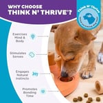Outward Hound Nina Ottosson Dog Smart - Leckerlis için etkileşimli köpek oyuncağı - kompozit malzemeden - turuncu - Seçenekler: Level 1 (Einfach), 1 Stück (1er Pack)...