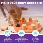 Outward Hound Nina Ottosson Dog Smart - Leckerlis için etkileşimli köpek oyuncağı - kompozit malzemeden - turuncu - Seçenekler: Level 1 (Einfach), 1 Stück (1er Pack)...
