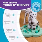 Outward Hound Nina Ottosson Yavru Köpek Hide n' Slide - Köpekler için Etkileşimli Ödül Düşünme Oyuncağı - Yeşil - Seçenekler: Seviye 2 (Orta Seviye), Ekstra parçalar