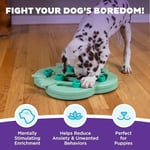 Outward Hound Nina Ottosson Yavru Köpek Hide n' Slide - Köpekler için Etkileşimli Ödül Düşünme Oyuncağı - Yeşil - Seçenekler: Seviye 2 (Orta Seviye), Ekstra parçalar