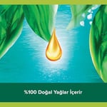 Palmolive Aroma Sensations So Firm Deniz Yosunu Özü ile Banyo ve Duş Jeli (500 ml)