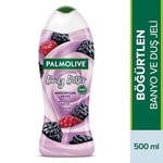 Palmolive Body Butter Böğürtlen Keyfi Böğürtlen Özü ile Banyo ve Duş Jeli (500 ml)