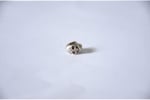 Pandora, Charm Bileklik Uyumlu, Gümüş, Charm takıNM277