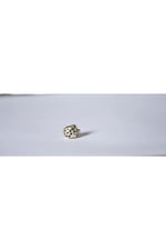 Pandora, Charm Bileklik Uyumlu, Gümüş, Charm takıNM268