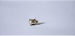 Pandora, Charm Bileklik Uyumlu, Gümüş, Charm takıNM291