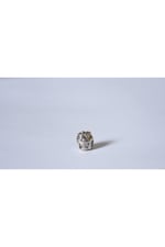 Pandora, Charm Bileklik Uyumlu, Gümüş, Charm takıNM295