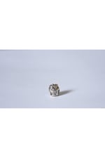 Pandora, Charm Bileklik Uyumlu, Gümüş, Charm takıNM295