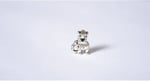 Pandora, Charm Bileklik Uyumlu, Gümüş, Charm takıNM251