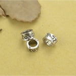 PANDORA CHARM BİLEKLİK UYUMLU GÜMÜŞ CHARM takıNM113