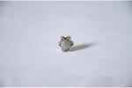 Pandora, Charm Bileklik Uyumlu, Gümüş, Charm takıNM196