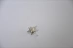 Pandora, Charm Bileklik Uyumlu, Gümüş, Charm takıNM274