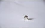 Pandora, Charm Bileklik Uyumlu, Gümüş, Charm takıNM254