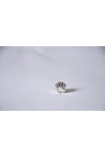 Pandora, Charm Bileklik Uyumlu, Gümüş, Charm takıNM254