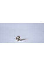 Pandora, Charm Bileklik Uyumlu, Gümüş, Charm takıNM280