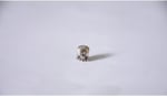 Pandora, Charm Bileklik Uyumlu, Gümüş, Charm takıNM257