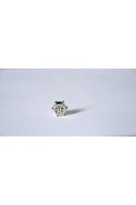 Pandora, Charm Bileklik Uyumlu, Gümüş, Charm takıNM275
