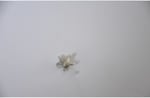 Pandora, Charm Bileklik Uyumlu, Gümüş, Charm takıNM274