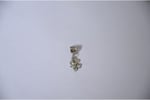 Pandora, Charm Bileklik Uyumlu, Gümüş, Charm takıNM249