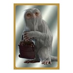 Panini Harry Potter 004387AF A Year at Hogwarts Albüm + Kart Tutucu