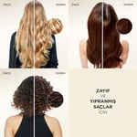 PANTENE Onarıcı & Koruyucu 3'ü 1 Arada Şampuan 400 ml - Seçenekler: Standart 3lü paket, Standart