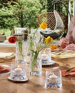 Paşabahçe Leafy Cam Viski Bardağı, 4 Parça, Şeffaf, 300 cc