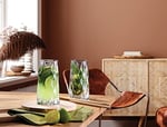 Paşabahçe LEAFY MEŞRUBAT-LONG DRINK 355 CC 4'LÜ HEDİYELİK KUTU