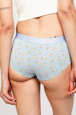 Paul Kenzie x Kurtaran Ev - Desenli Kadın Boyshort Külot - Poppy