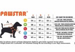 PawStar 26829 Rainbow Tişört - Bedenler: M, L, XL, XXL
