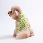 PawStar 26832 Avocado Tişört - Bedenler: L, XL, XXL