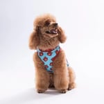 PawStar 26838 Bears Tişört - Bedenler: M, L