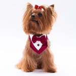 Pawstar Bordo Smokin Kedi/Köpek Fuları (1)