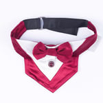 Pawstar Bordo Smokin Kedi/Köpek Fuları (1)
