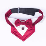 Pawstar Bordo Smokin Kedi/Köpek Fuları (1)