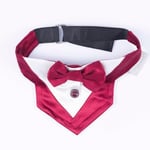Pawstar Bordo Smokin Kedi/Köpek Fuları (1)