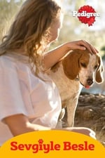 Pedigree Köpekler İçin Jumbone Sığır Etli Ödül Maması 160 G